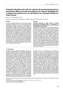 Potentiel infectieux des sols de cultures de tomate