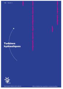 Turbines hydrauliques - Bundesamt für Energie BFE