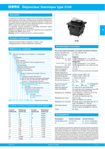 Disjoncteur thermique type 3140 1