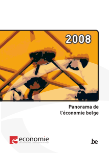 Panorama de l`économie belge 2008