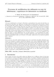 Processus de mobilisation des sédiments en zone de déferlement