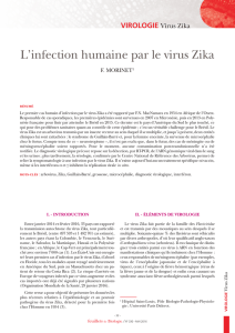 L`infection humaine par le virus Zika