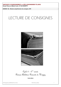 lecture de consignes - Académie de Nancy-Metz