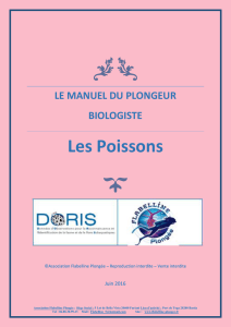 LE MANUEL DU PLONGEUR BIOLOGISTE Les Poissons