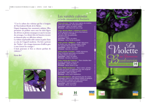 Violette - La Valette-du-Var