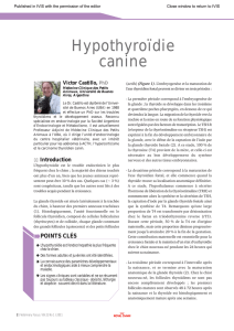 Hypothyroïdie canine. In: Veterinary Focus, Vol. 21(1)-2011