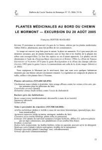 PLANTES MÉDICINALES AU BORD DU CHEMIN LE MORMONT