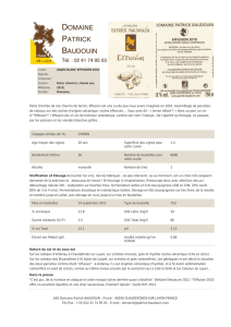 Télécharger la fiche vin - Domaine Patrick Baudouin