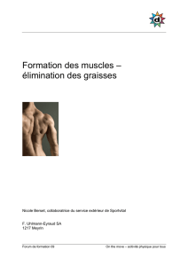 Formation muscle_09