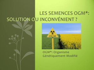 Les semences OGM*: solution ou inconvénient ?