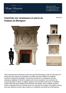 Cheminée neo renaissance en pierre du Château de Montgeon