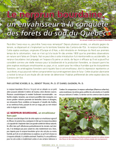Le nerprun bourdaine - Syndicat des Producteurs forestiers du Sud