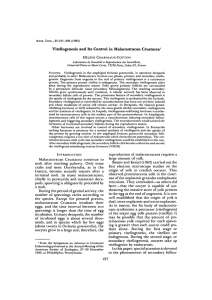 ViteJlogenesis and Its Control in Malacostracan Crustacea1