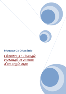 chapitre 5 cosinus x - E