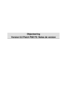 Objecteering Version 6.0 Patch P08170: Notes de version