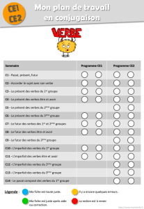 Plan de travail complet CE1-CE2