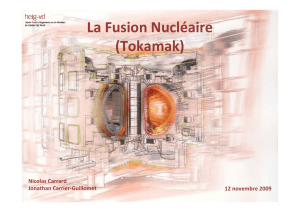 La Fusion Nucléaire