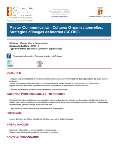 Master Communication, Cultures Organisationnelles