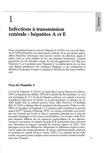 Infections à transmission entérale : hépatites A et E - iPubli