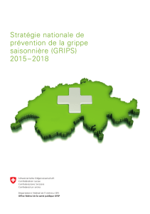 Stratégie GRIPS. A télécharger en tant que fichier PDF.