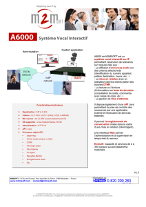 A6000 Système Vocal Interactif