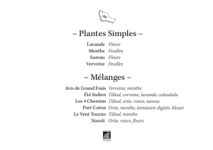 – Plantes Simples – – Mélanges –