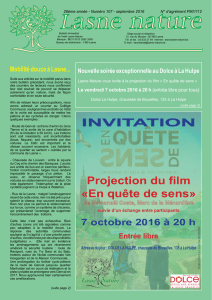 Projection du film «En quête de sens» INVITATION