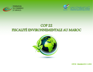 Fiscalité environnementale au Maroc