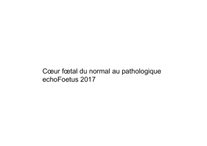 Coeur foetal du normal au pathologique