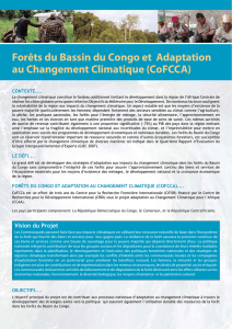 Forêts du Bassin du Congo et Adaptation au Changement Climatique