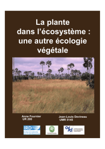 La plante dans l`écosystème : une autre écologie végétale