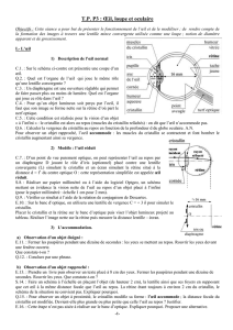 T.P. P3 Oeil, loupe et oculaire