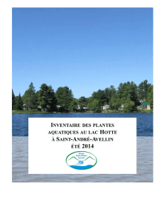 Inventaires des plantes aquatiques au lac Hotte, Saint