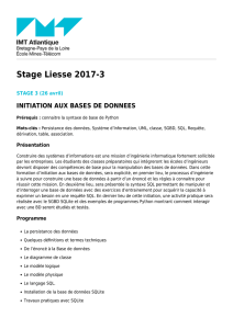 Stage Liesse 2017-3