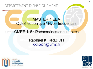 MASTER 1 EEA Optoélectronique / Hyperfréquences GMEE 116