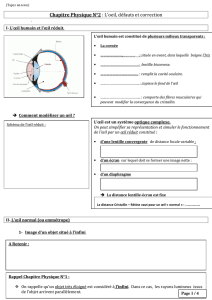 Chapitre Physique N°2 : L`oeil, défauts et correction