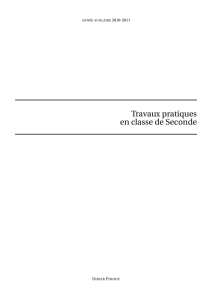 TP n°1 : Conjecture et preuve