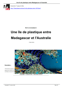 Une île de plastique entre Madagascar et l`Australie