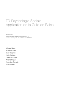 Dossier psychologie sociale - Fichier
