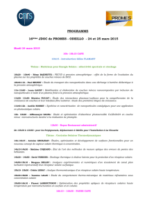 2015 - Promes CNRS