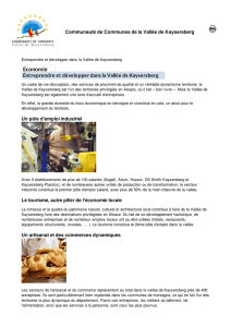 Version pdf - Communauté de Communes de la Vallée de