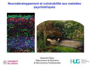 Neurodéveloppement et vulnérabilité aux maladies psychiatriques