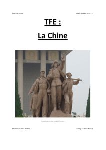 TFE : La Chine - Fichier