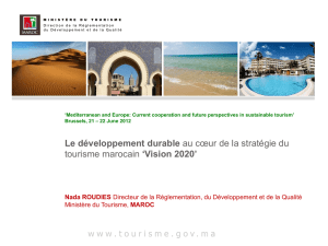 Vision 2020 - Veille info tourisme