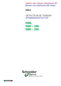 3627169 FR_NL index a SMK3 d\351tecteur de tension