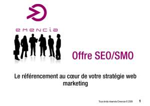 Offre SEO/SMO