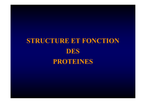 Protéines - unBlog.fr