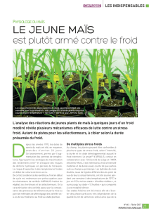 Physiologie du maïs - Perspectives Agricoles