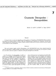 Crustacés Décapodes : STENOPODIDEA