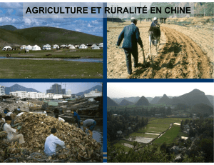 AGRICULTURE ET RURALITÉ EN CHINE